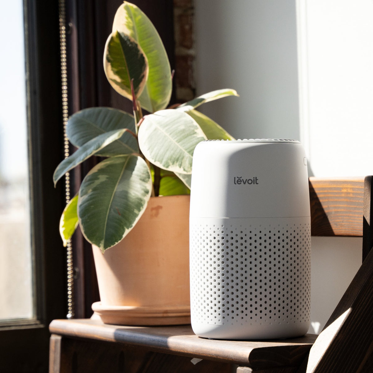 Levoit Core? Mini-P Air Purifier