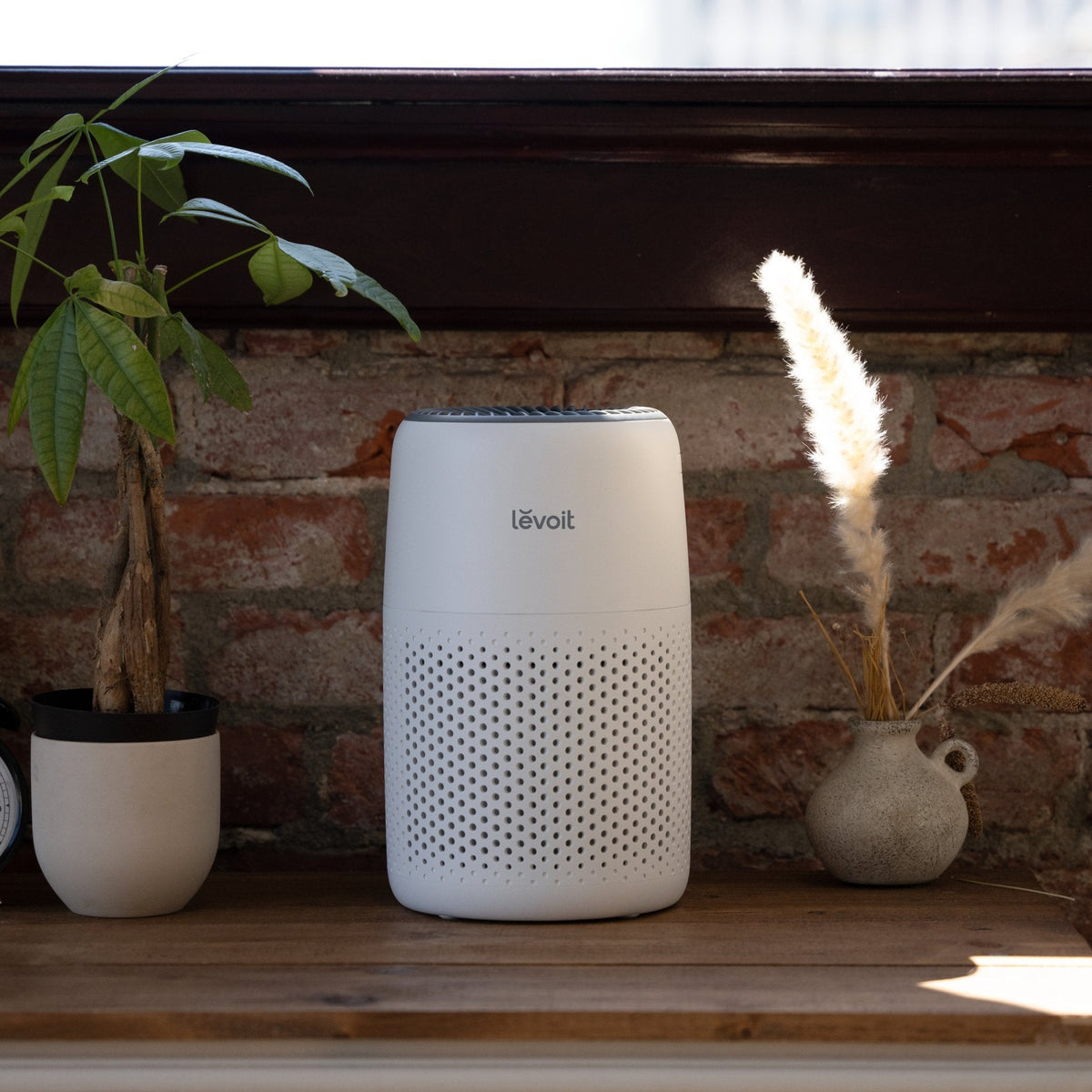 Levoit Core? Mini-P Air Purifier