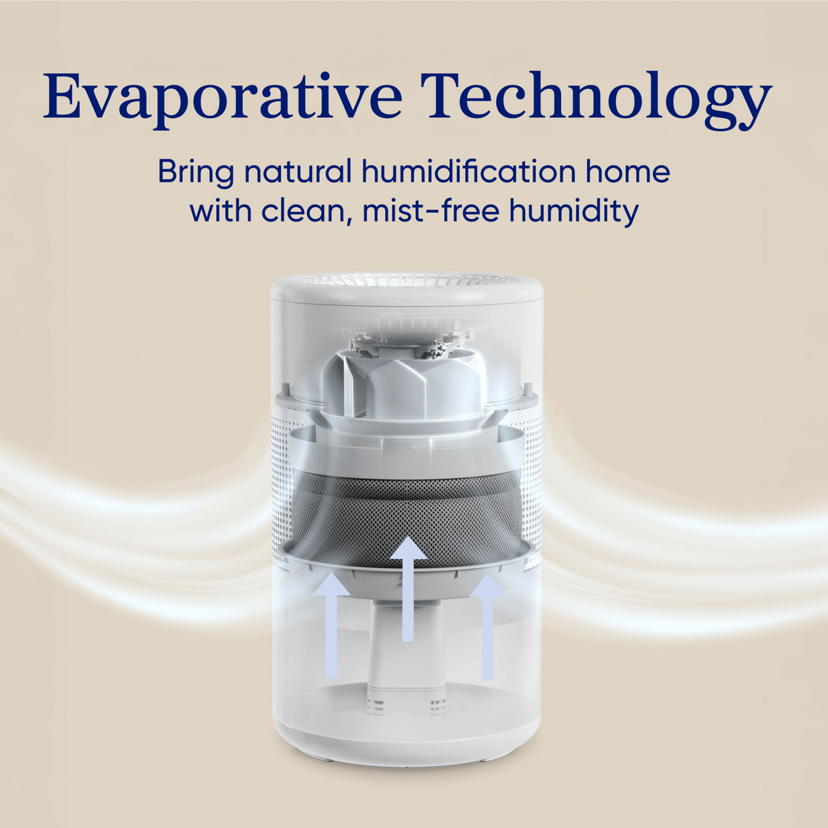 Levoit Superior? Studio Smart Evaporative Humidifier