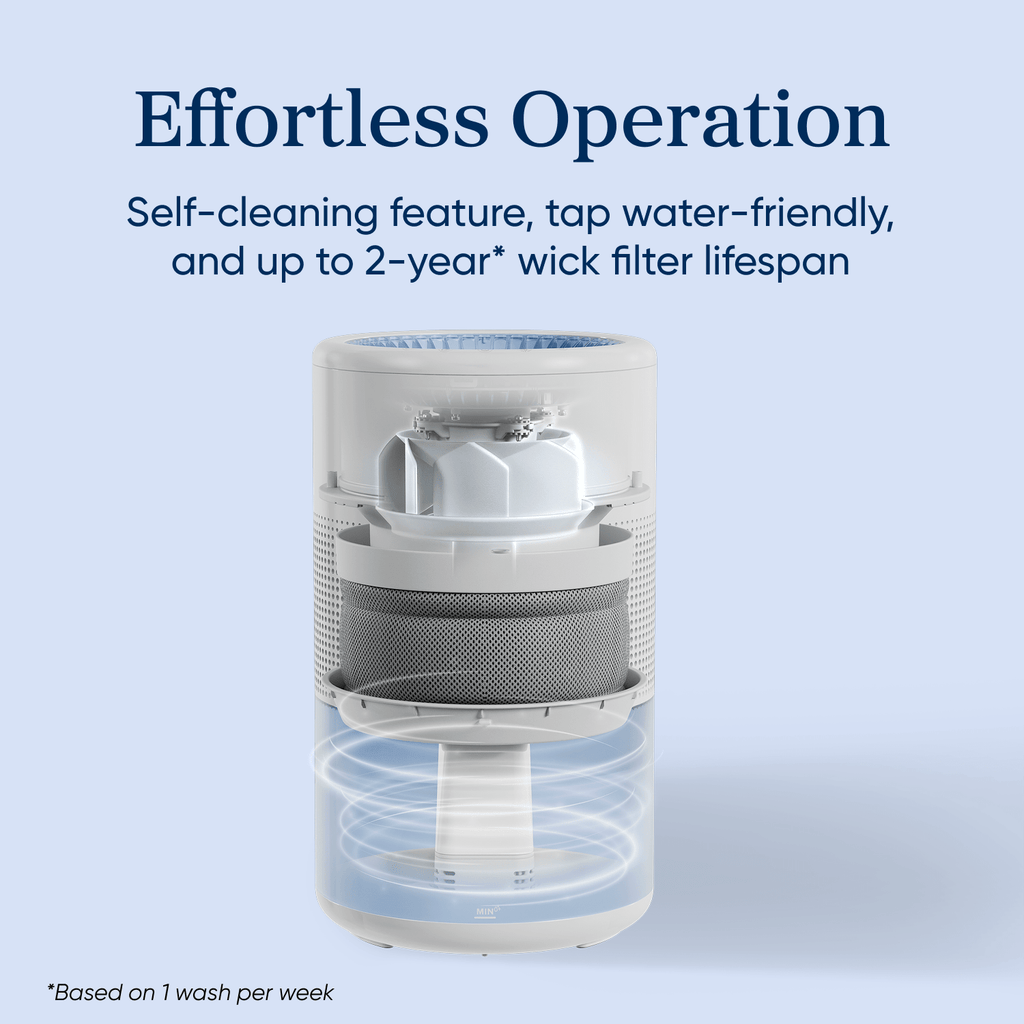 Levoit Superior? Studio Evaporative Humidifier