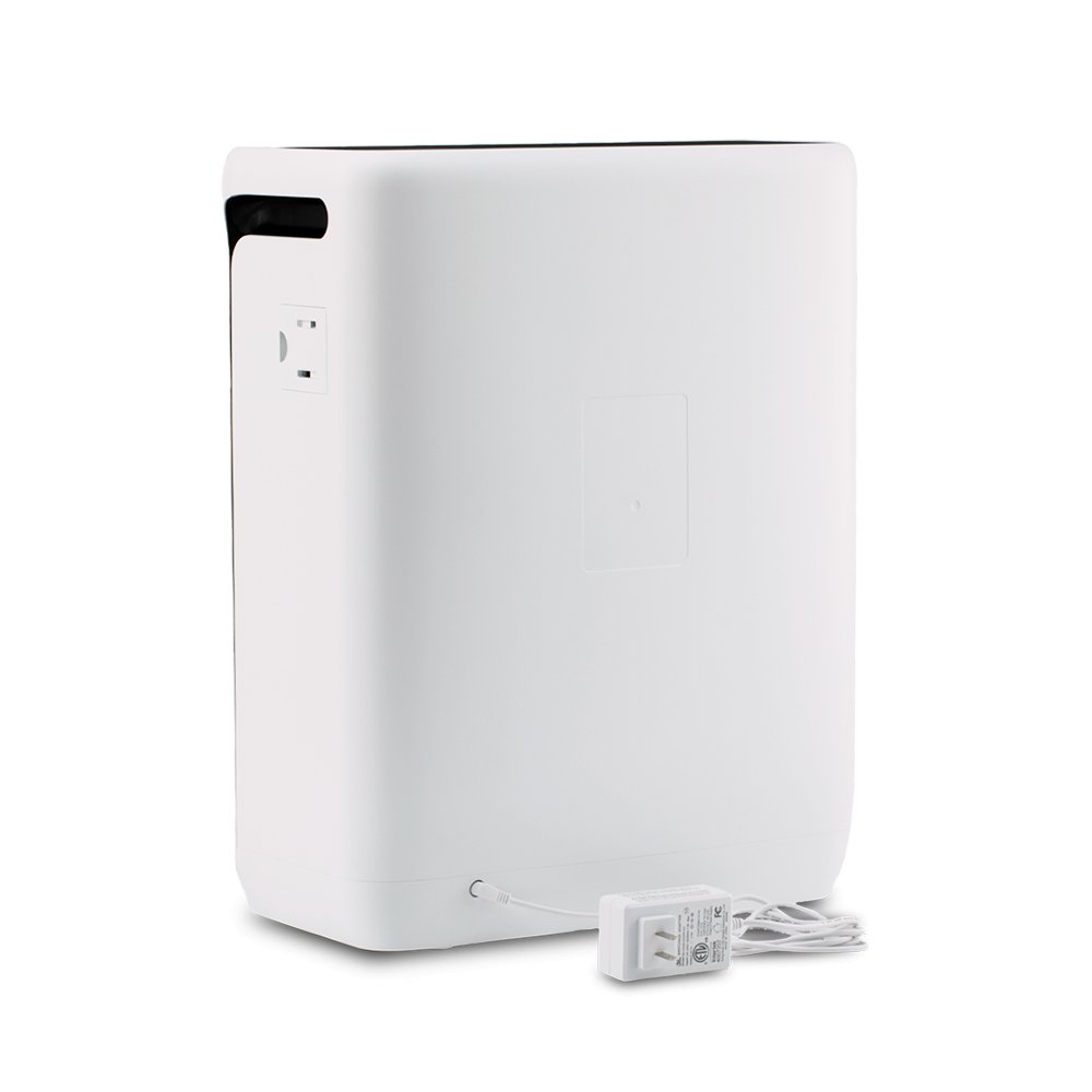 Wildfire Protection Bundle - Vital 200S-P + Toxin Filter